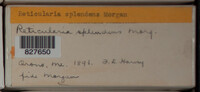 Image Associated With the Occurence